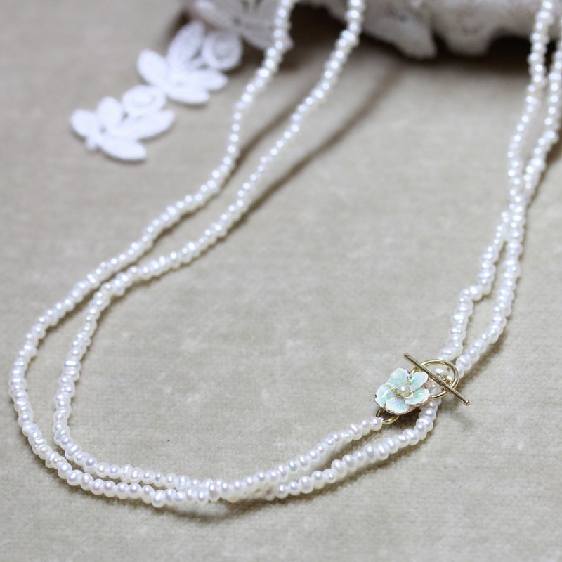 ��������ͥå��쥹��N-25�ΥХ�