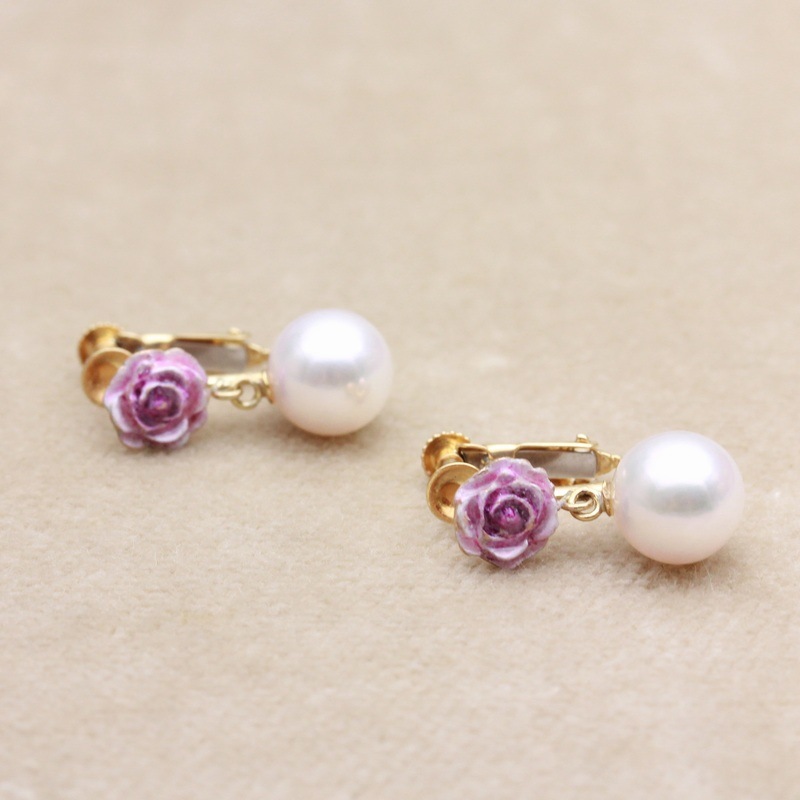 ��������ץ�� ER-01 �Х�/������