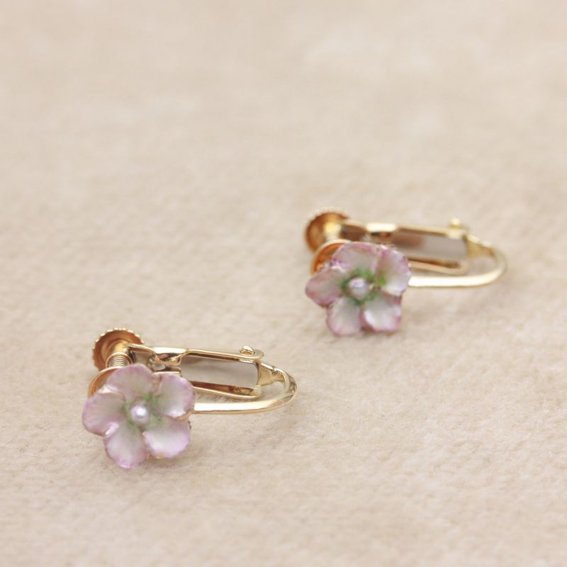 �������󥤥���ER-04�ΥХ�