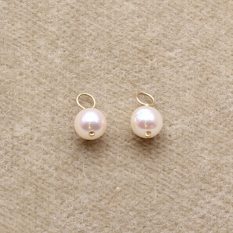 󥰥㡼ECH-02٥ӡѡ3.5