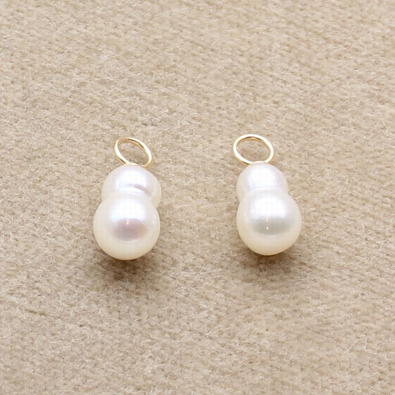 �����󥰥��㡼��ECH-04�ĥ���ѡ���