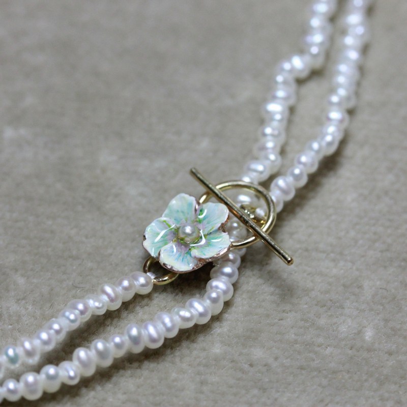 ��������ͥå��쥹��N-25�ΥХ�