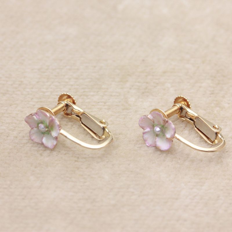 �������󥤥���ER-04�ΥХ�