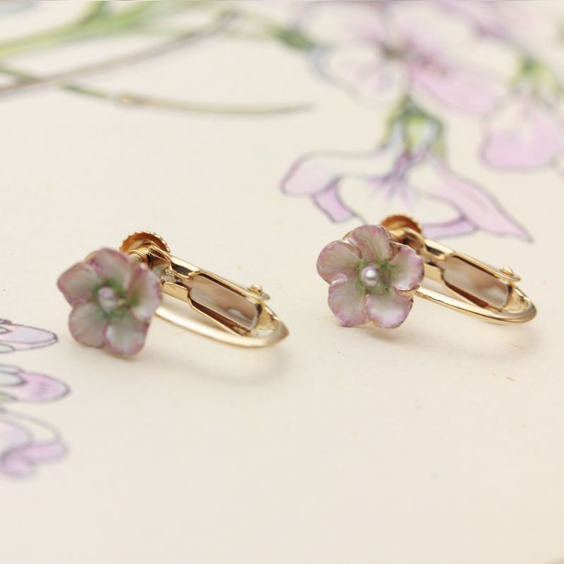 �������󥤥���ER-04�ΥХ�