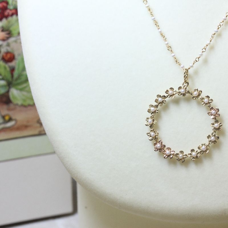 ����� �ɥ� �ե졼�� PH-01