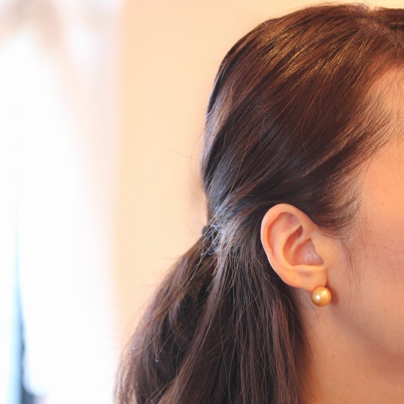 ���ο���ԥ���P-01�������/11mm