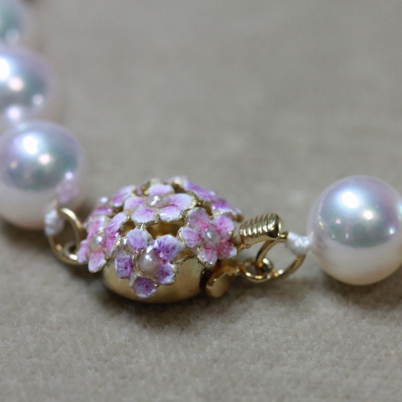 ��������ץ�ޥͥå��쥹��N-07˺�����Υɡ���