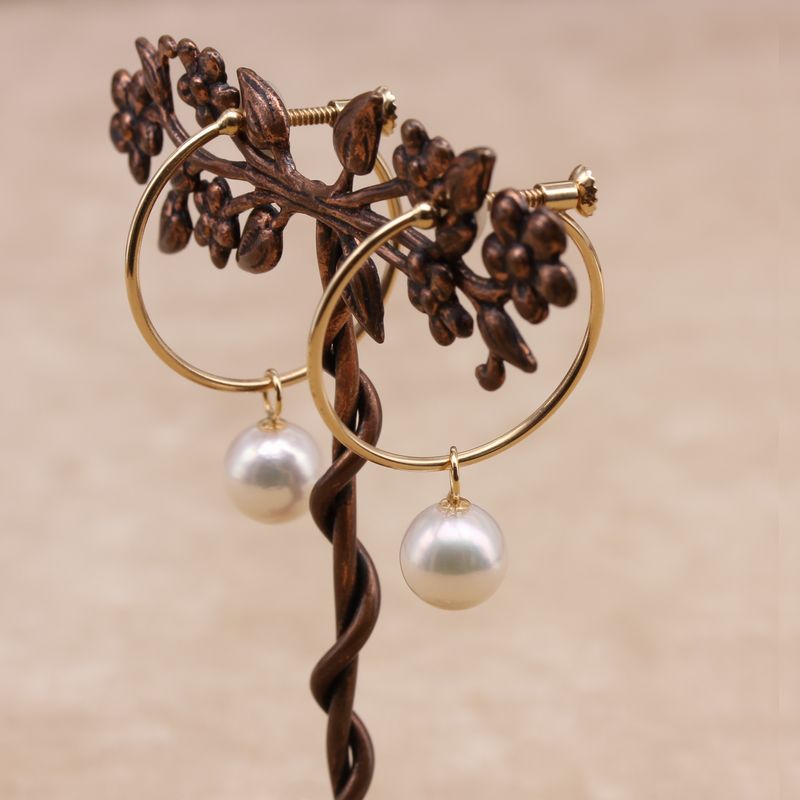 �ա��ץ�����ER-01�����俿����㡼���դ�