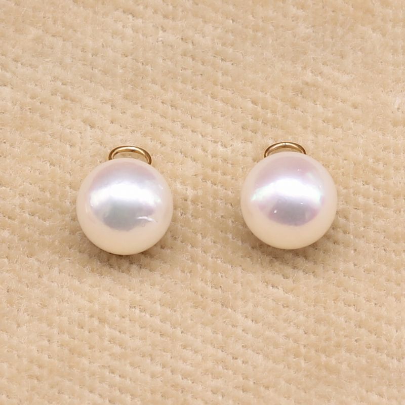 �ա��ץ�����ER-01�����俿����㡼���դ�