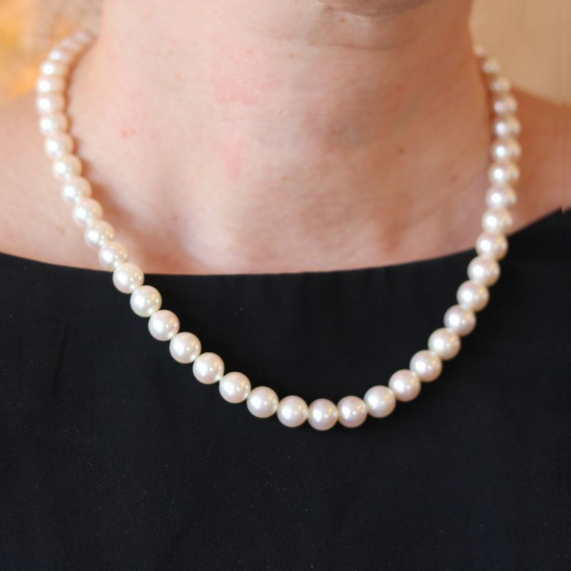 俿ͥå쥹N-017.58.0/43