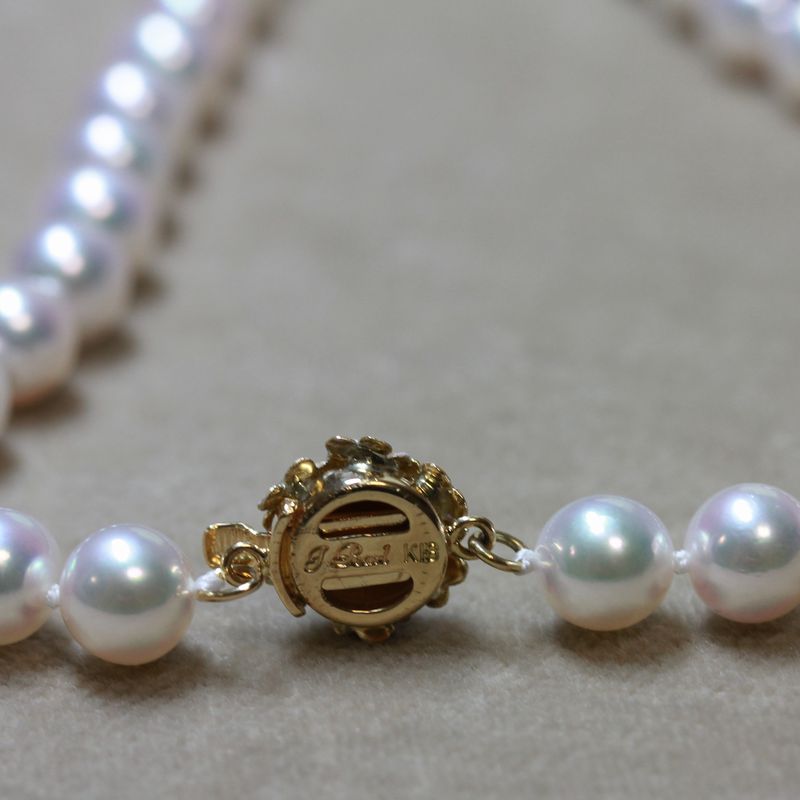 ��������ץ�ޥͥå��쥹��N-07˺�����Υɡ���