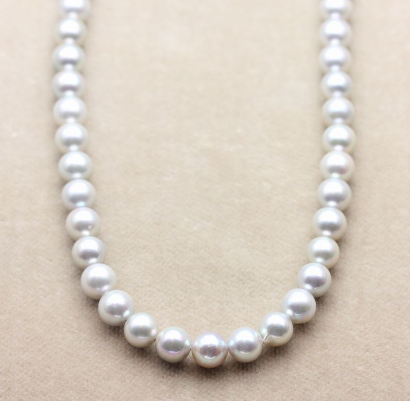 1_000000002599.jpg?1678209903