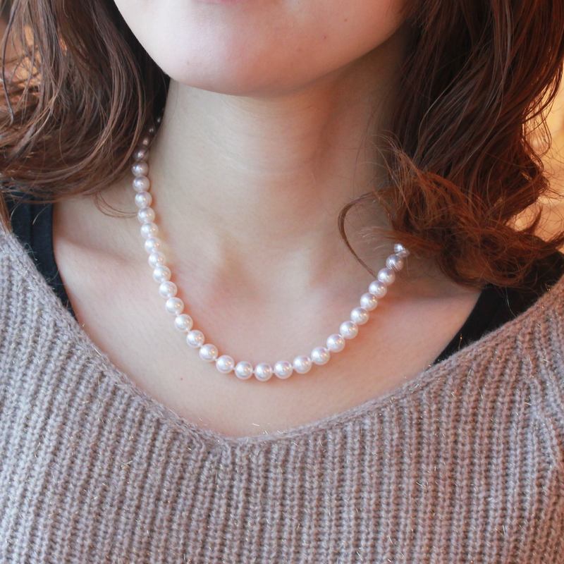 ��������ץ�ޥͥå��쥹��N-07˺�����Υɡ���