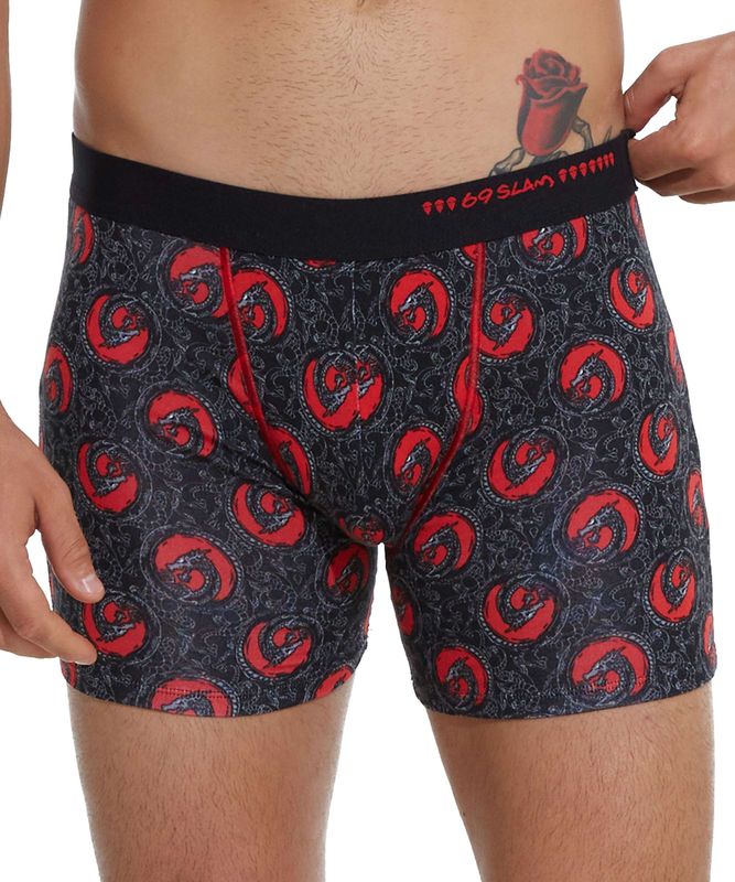 �ڥХ�֡����åȥ�ۥ쥮��顼�桡MPBDDS-BB ��:DRAGON DOTS���ܥ������ѥ��