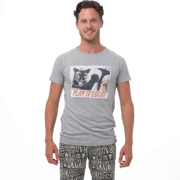 ̵ۡڥ TġMTRPWP-GY :PAW PAT