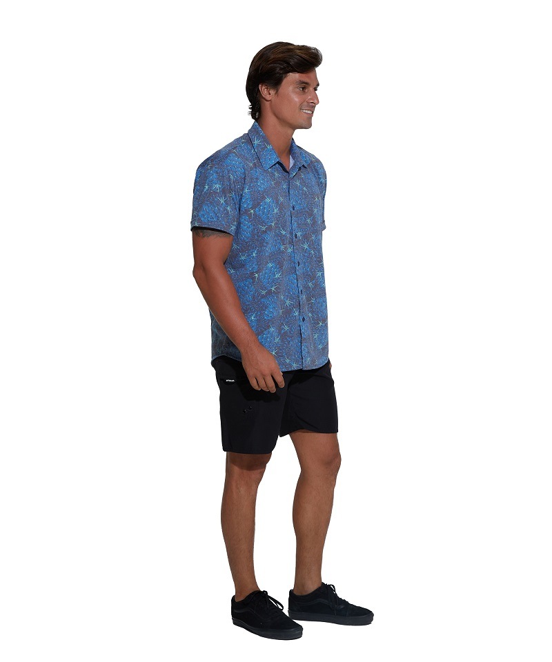 �ڿ�Φξ�� ��� ��å��� ����ġ�MTQPCT-PC ��:PINE CACTUS