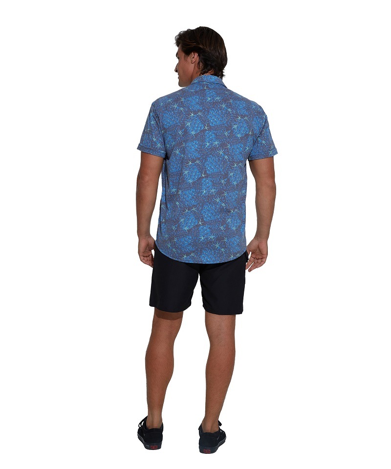 �ڿ�Φξ�� ��� ��å��� ����ġ�MTQPCT-PC ��:PINE CACTUS