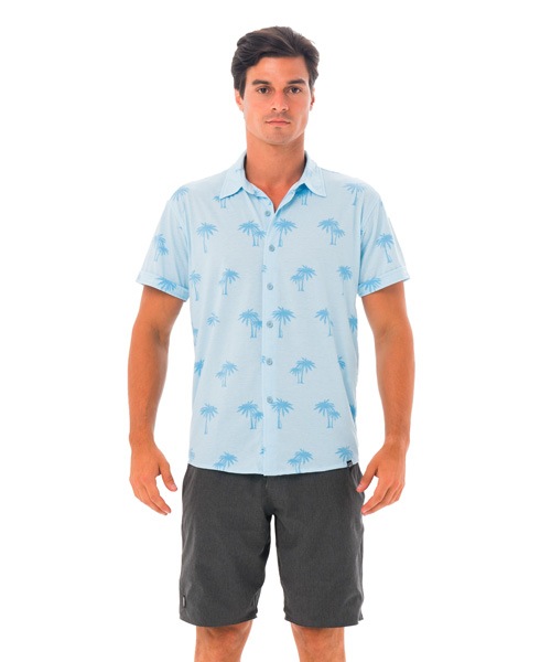 ̵ۡڿΦξ  å ġMTQPUE-BL :PALM BLUE