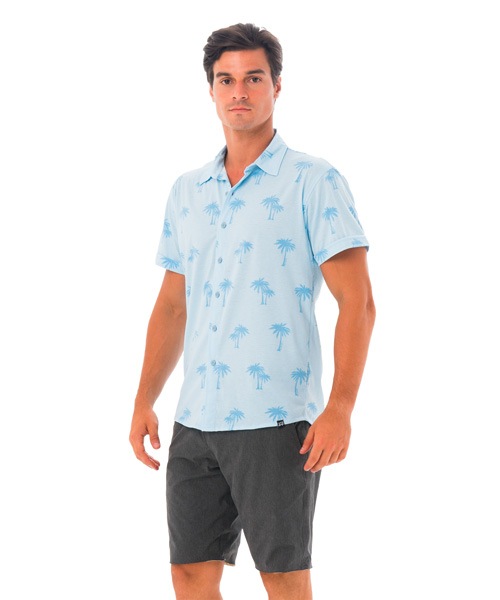 ̵ۡڿΦξ  å ġMTQPUE-BL :PALM BLUE