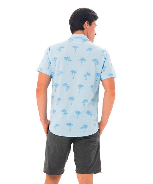 ̵ۡڿΦξ  å ġMTQPUE-BL :PALM BLUE