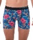 ����̵���ڥݥꥨ���ƥ�ۥ쥮��顼�� 3�� ���եȥ��å� BOXER PACK��PACSKK-PO ��:SUSHI/KOY POND/KRAKEN������BOX�Ĥ����ܥ������ѥ��