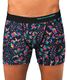 ����̵���ڥݥꥨ���ƥ�ۥ쥮��顼�� 3�� ���եȥ��å� BOXER PACK��PACATP-PO ��:ALIEN EYE /TIGER SKULL/PUNK BUSKERS������BOX�Ĥ����ܥ������ѥ��