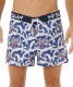 �ڥ�� �����եѥ�� ���硼�Ⱦ��SSCTWV-PM ��:TIGER WAVES