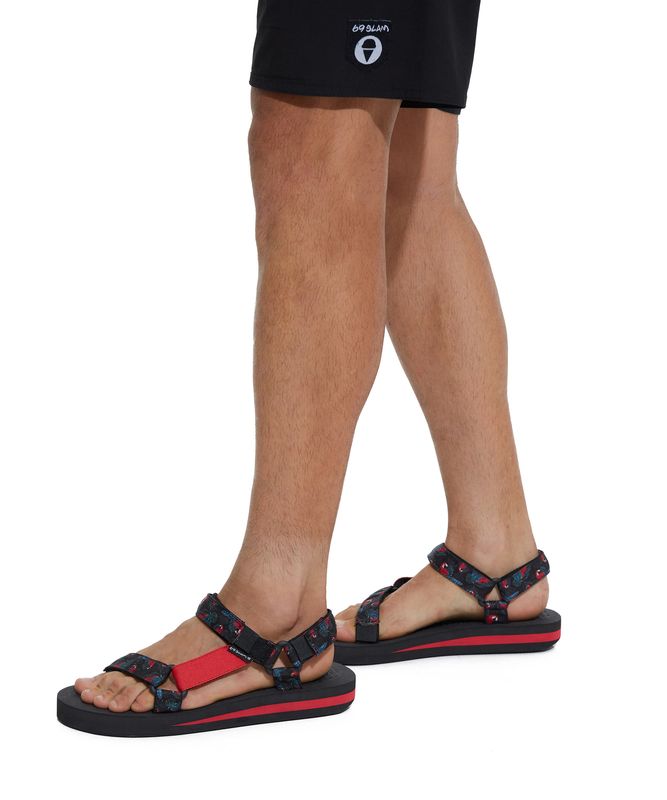 �ڥ�󥺥��ȥ�åץ�������ARBTPR-AT ��:TROPICAL PARROTS