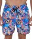 �ڥܥ�������館�롪�����ڡ����оݡۡڥ�� �����եѥ�� ���硼�Ⱦ��®�� ��å��奤��ʡ��դ� �ⵡǽ�Ǻ� 4way���ȥ�å� ���ѥ� SSBVCE-PM ��:VICE ����̵��