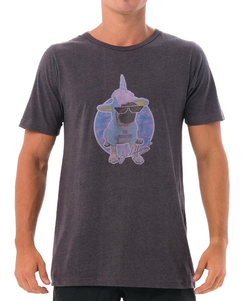 �ڥ�� T����ġ�MTRPCN-BC ��:PUGNICORN