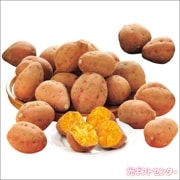 縩Ǽȡʣˡ