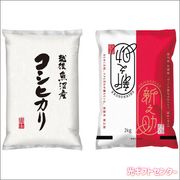 �����ơ����￩����١ʷף����ˡ�USW2-SIN2