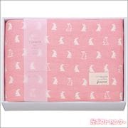 ��������ᡡ�դ�顡ϻ�ſ����������åȡ��ԥ󥯡�FWR1508PI