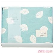 ��������ᡡ�դ�顡ϻ�ſ��������ϡ��ե��åȡ��֥롼��FWR6508BL