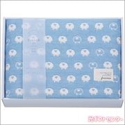��������ᡡ�դ�顡ϻ�ſ����������åȡ��֥롼��FWR1508BL