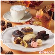 C3塼֡ƥߥե󥿥ӡCASTF-30