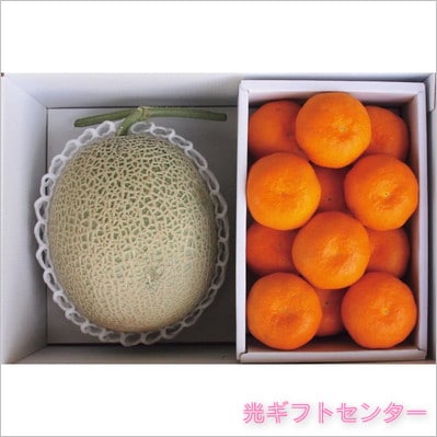 北海道赤肉メロン＆ハウスみかん 2025お中元 なら 季節の