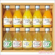 ��ƣ���ࡡ��������ԥ奢���塼�����ɥ�󥯥��åȡ�V-052�������������渵