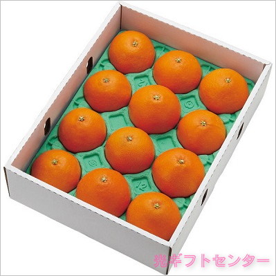 ��ɲ�������Ȥޤɤ�ʡʣ����ˡ���������������