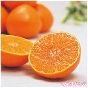 ɲ̴ޤɤʡʣˡҰɲ̻ӡ