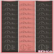 THESWEETSġ륵ɥåʥꥸʥˡġSCSSB30