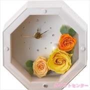 ＭＯＬＹ　アンティークホワイト　（プリザーブドフラワー）　イエロー