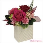 �֥�ꥢ��ȡʥץꥶ���֥ɥե��ˡ��ԥ󥯡�bc-13572-P