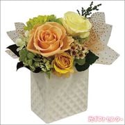 �֥�ꥢ��ȡʥץꥶ���֥ɥե��ˡ�����󥸡�bc-13572-OR