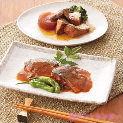 ����Ĺ��Ź���ѵ����åȡ�AB2-62