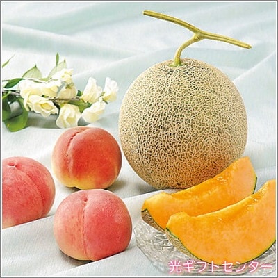 �̳�ƻ�ֲ������������͹礻�������������渵