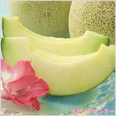 山形県産 華の会の庄内砂丘メロン 青果肉 2玉 2025お中元 なら