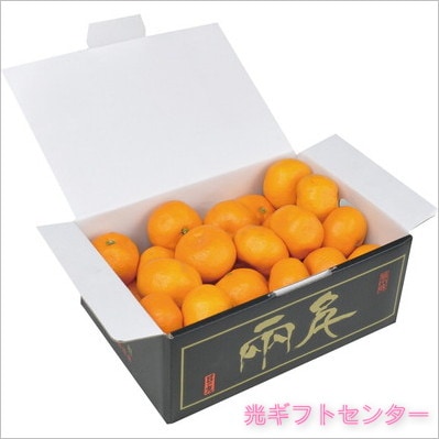 ��ɲ����  ���δݤߤ���ʣ����ˡ���������������