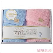 �Х�������´����������󥰥ե����������룲�祻�åȡ��֥롼�ߥԥ󥯡�SGS-3000 B��P