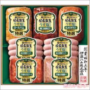 ƣϥࡡ褦ž夲եȡGMU-55T